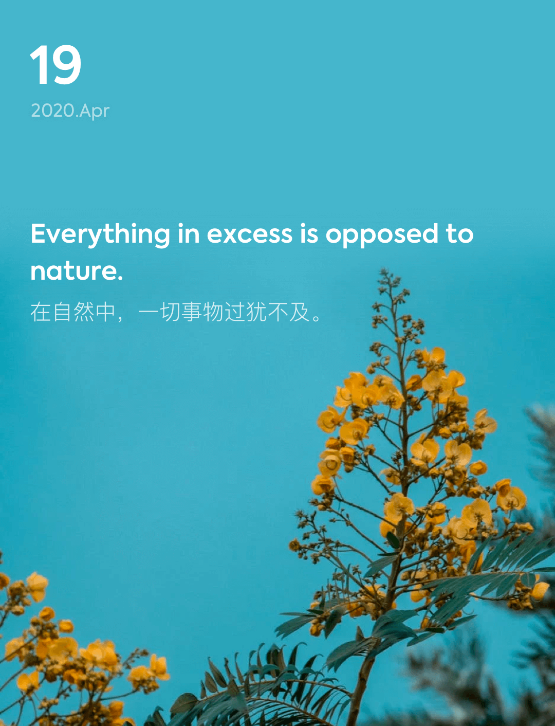 词霸每日一句